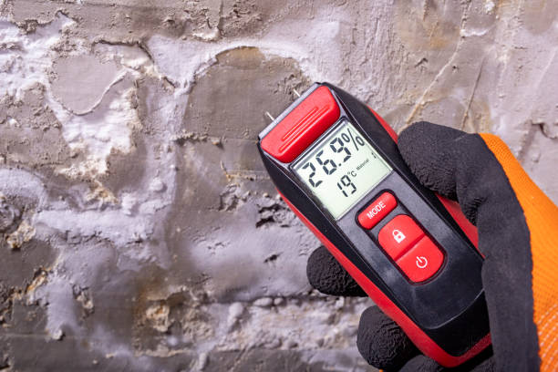 Best Mold Testing and Inspection Services in Terrace Park, OH